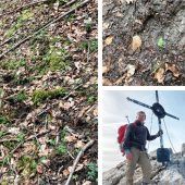 Die Bärenspuren weisen nach Süden