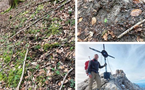 Eine mutmaßliche Braunbärenspur im Wald hielt Roland Zeddies (Foto unten rechts) mit seiner Kamera fest, auch die einzelnen Abdrücke mit ihren riesigen Abmessungen. Foto re