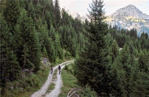 Eine Rundtour führt zum Beispiel durchs traumhafte Tannheimer Tal. Foto Tirol Werbung, Olaf Unverzart