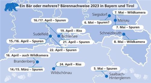 Einer oder mehrere? Die Sichtungen in der Region haben stark zugenommen. Klinger