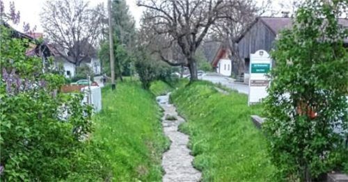Gar nicht träge: der munter sprudelnde Feilnbach.Foto höfer