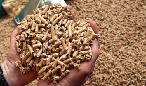 Holzpellets gelten – wie auch Scheitholz und Hackschnitzel – nicht eindeutig als erneuerbare Energiequelle. Ein Fehler, meint die Waldbesitzervereinigung mit Blick auf die strengen Energievorgaben der Neubauverordnung. Foto dpa