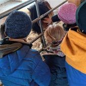 Auf dem Traktor und bei den Tieren