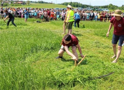 Voller Einsatz beim Mähen. Anfeuern hilft immer auch bei den Ainringer Damen.