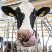 Vieles wird billiger: Kommt die Preiswende?