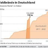 So lässt sich Feuer im Wald verhindern