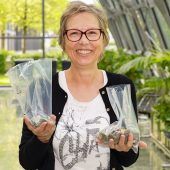 Verspäteter Abschied