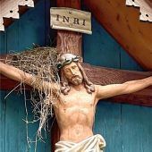 Vögel nisten wohl behütet