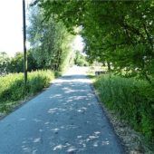 Neuer Asphalt für Schlarbhofen