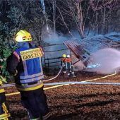 16 Bienenvölker nach Blitzeinschlag Raub der Flammen