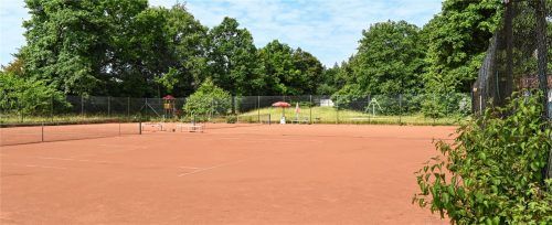 An der Pürstlingstraße gibt es insgesamt 21 Tennisplätze für drei Vereine. Drei dieser Plätze sollen jetzt wegfallen. Foto Peter Schlecker