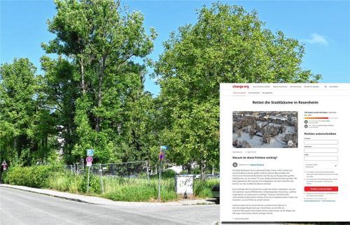 Auf dem Gelände der ehemaligen Bogensiedlung will die Technische Hochschule (TH) unter anderem einen Technologiepark errichten. Weil dafür zahlreiche Bäume gefällt werden müssten, wurde jetzt eine Petition gestartet. Foto Peter Schlecker/Screenshot change.org/Collage: Anna Heise