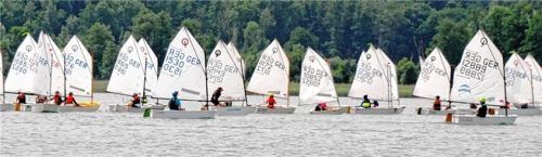 Bei der Optiliga 2023 sind 40 Boote gemeldet, bei der Laserliga 15. Foto Niessen
