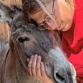 Neues Leben auf der Eselranch