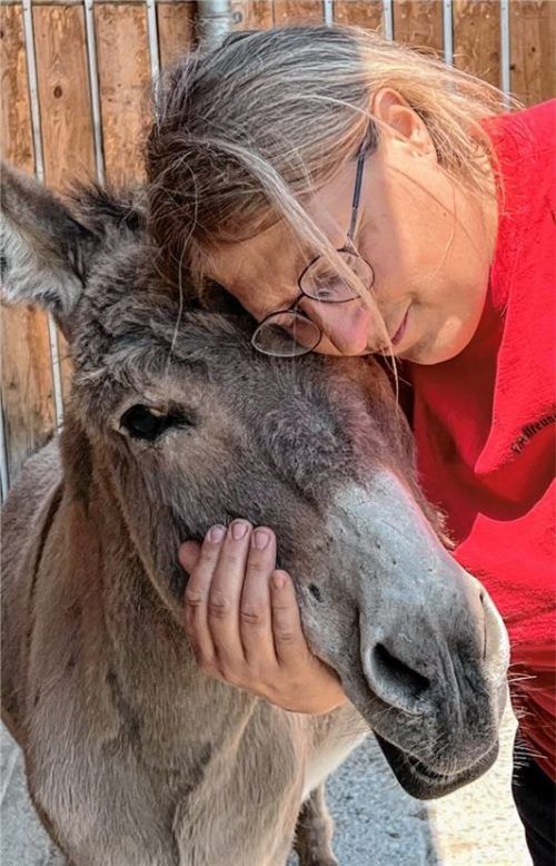 Benny war der erste Esel von Irmgard Pross-Kohlhofer. Er ist inzwischen 23 Jahre alt. Bei artgerechter Haltung können Esel bis zu 40 Jahre alt werden.
