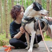 Von Aggression ist nichts zu spüren