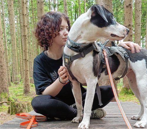 Die Dogo-Argentino-Hündin Bambam wurde als Welpe ins Tierheim gegeben. Sie gilt als Kampfhund der Kategorie 2. Ihre Trainingspatin Chiara Thiele (16) unterstützte sie auf ihrem Weg, ein neues Zuhause zu finden.Foto  Tierschutzverein Rosenheim