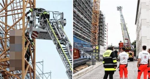 Die Feuerwehr rettete den Buben aus schwindelerregender Höhe. Fotos Reisner