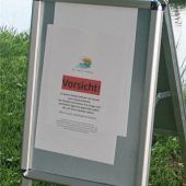 Nach Todesfall im Alzbad: Schwan-Attacke gibt Rätsel auf