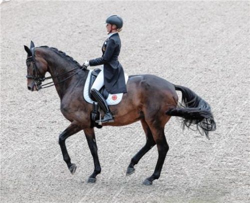 Dressurreiterin Jessica von Bredow-Werndl aus Aubenhausen wurde zweifache deutsche Meisterin mit ihrer Stute TSF Dalera BB. Foto dpa-Bildfunk
