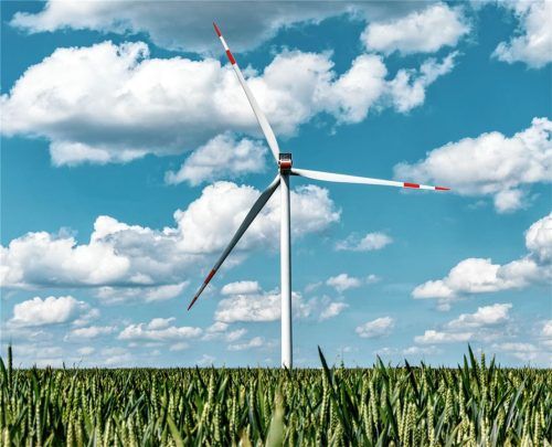 Geht es nach den Freien Wählern/UP, soll in Rosenheim untersucht werden, wie Windenergie genutzt werden könnte. Foto dpa