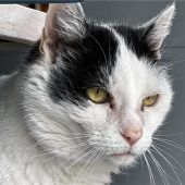 Maxi liebt lange Nickerchen