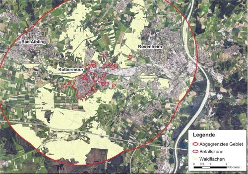 Kolbermoor ist das Epizentrum des Asiatischen Moschusbockkäfers in Deutschland. Mit der roten Linie ist die Quarantänezone aus befallenen Gebieten und Pufferzone gekennzeichnet.Fotos  AELF/Riediger