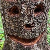 Rätselraten um ein hölzernes Lächeln mitten im Wald