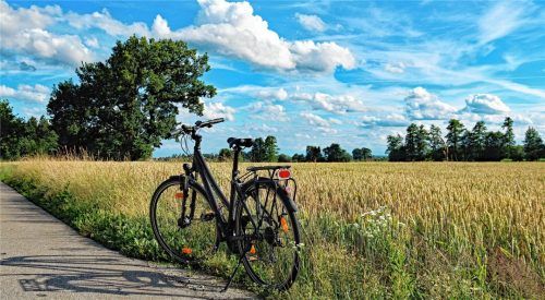 Nachhaltig leben, um die Umwelt vielfältig und gesund zu erhalten: Immer mehr Menschen ist dies ein Herzensanliegen. Genauso wie Dienstleistern, Unternehmen und Betrieben, die stetig daran arbeiten, ihre Produkte zu verbessern, Ressourcen zu schonen, Rohstoffe und Müll zu sparen. Foto Pixabay/Wellox