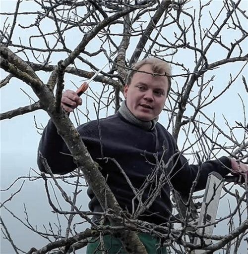 Was einen guten Schnitt beim Obstbaum ausmacht, dafür ist er der zentrale Ansprechpartner: Martin Landes, der neue Streuobstberater im Landkreis Rosenheim. Er berät, gibt Schnittkurse und hält Vorträge.Foto Landratsamt