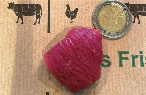 Zehn Gramm Rindfleisch im Verhältnis zu einem Zwei-Euro-Stück.