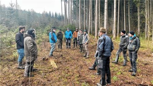 Zum Thema Baumsetzung besprachen sich die Beteiligten an Ort und Stelle. Foto re