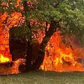 Lastwagen-Inferno am Ring