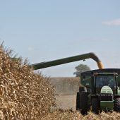 Gentechnik auf dem Acker: Chance oder Risiko?