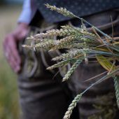 Erntefahrt mit schlechter Bilanz und scharfer Kritik