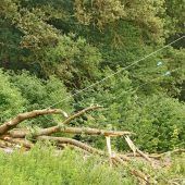 Die Sturm-Schneise durch Oberbayern