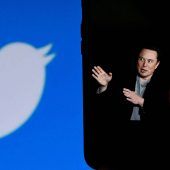 Musk will Twitter-Vogel abschießen