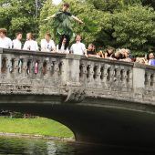 Spring, Wasservogel, spring