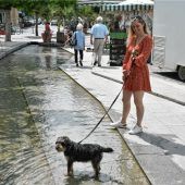 Das kühle Nass ist am Ludwigsplatz zurück