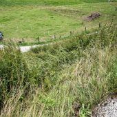 93-Jähriger stürzt mit Pkw Abhang hinunter