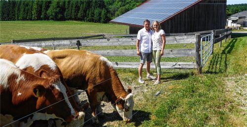 Bei Hans und Monika Mayerhofer dürfen die Kühe auf die Weide, die Treibhausgase bindet. Die anfallende Gülle wird in der eigenen Biogasanlage (hinten rechts) verarbeitet. Eine PV-Anlage auf einem sich zur Sonne drehenden Stadl sorgt für noch mehr Strom aus der Natur. Foto Sylvia Hampel