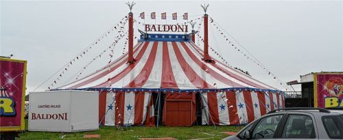 Der „Circus Baldoni“ ist nun auf finanzielle Unterstützung angewiesen. Foto Schlecker