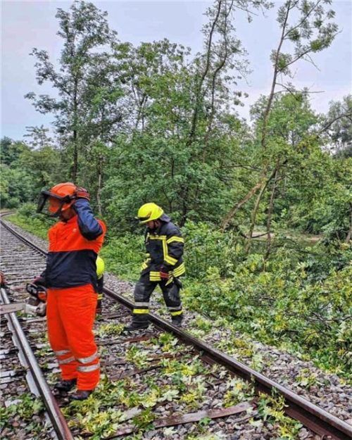Die Bahnlinie Richtung Trostberg musste von den Einsatzkräften freigeschnitten werden.Foto Hobmaier