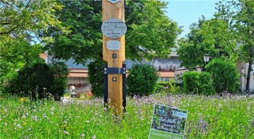 Die Blühfläche am Maibaum war ein Kriteriumspunkt in der Bewertung.