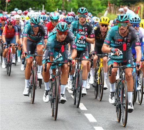 Die Fahrer bei der Tour sind mit ungewöhnlichen Gefahren konfrontiert. Foto Bettini/Bora-hansgrohe