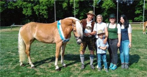 Die Haflinger-Stute „Georgia G“ wurde bei der Landesstutenschau in München als beste Siegerstute Bayerns prämiert, worüber sich die Züchterfamilie Grandauer (von links) Sebastian und Sabine und ihre Kinder Magdalena, Katharina und Quirin riesig freuten. Foto Steffenhagen