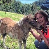 Spekulationen um Wolf im Raum Grassau