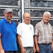 Rekord-Taube knackt kurz die100 Kilometer pro Stunde