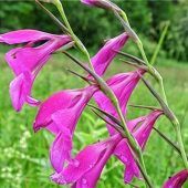 Lebensräume im Heimatlandkreis dauerhaft aufwerten und erhalten