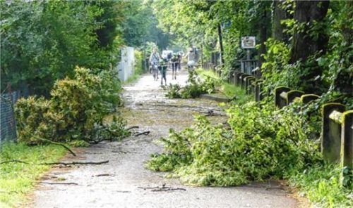 Entwurzelte Bäume und abgebrochene Äste machten am Mittwochvormittag viele Wege teils unpassierbar.